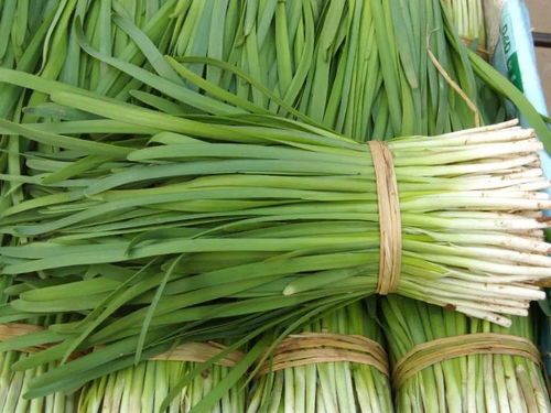 胶州人注意 韭菜买卖出新规，违规最高可罚20万，农产品安全再升级