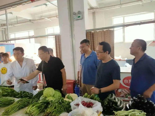 守护“舌尖上的安全”——区市场监管局开展食品安全宣传周活动，聚焦食用农产品安全