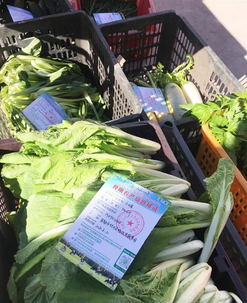 西藏食用农产品合格证累计出具突破4600张，质量安全追溯体系稳步构建